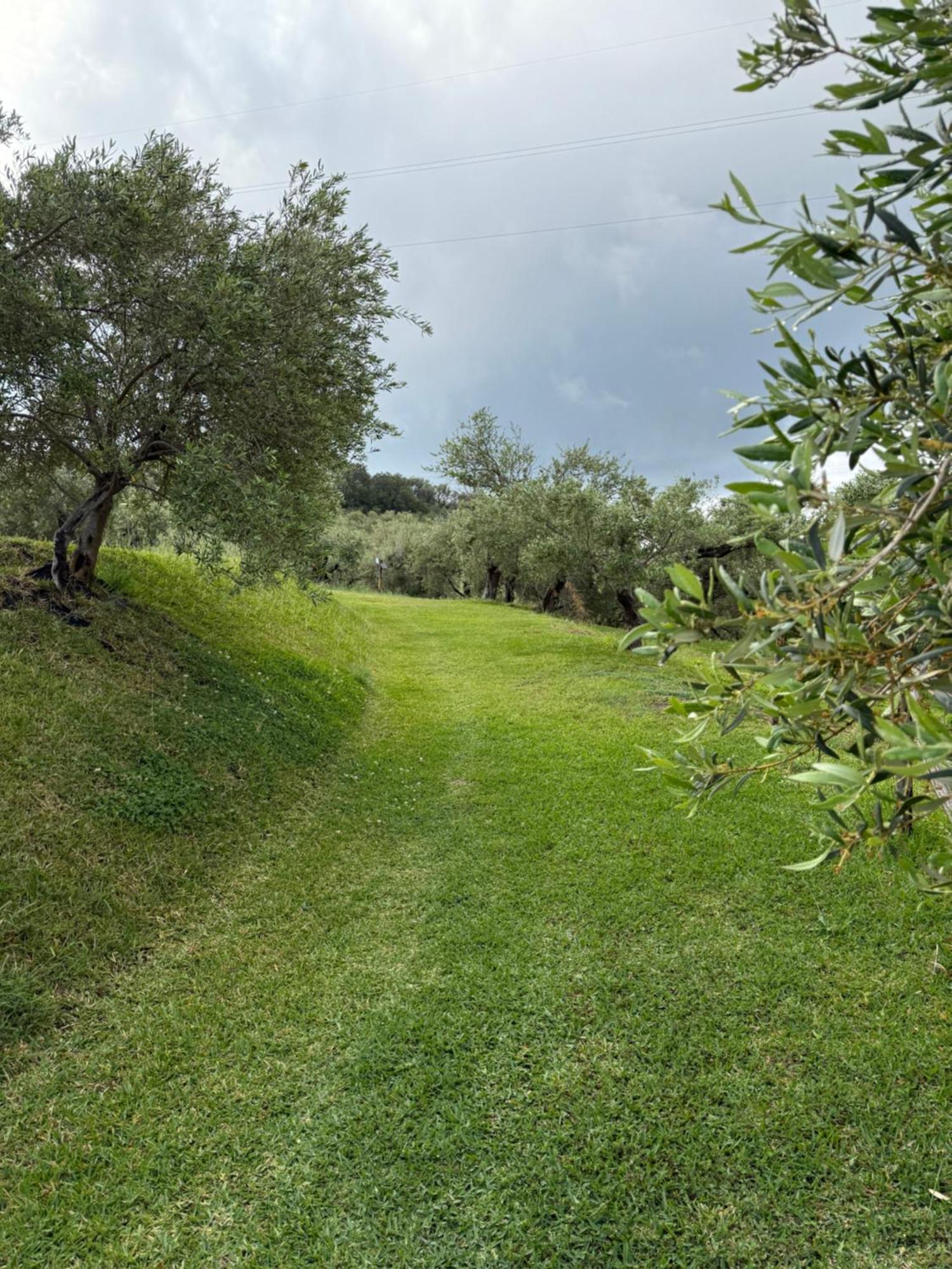 Agrolea Hotell Terme Vigliatore Eksteriør bilde