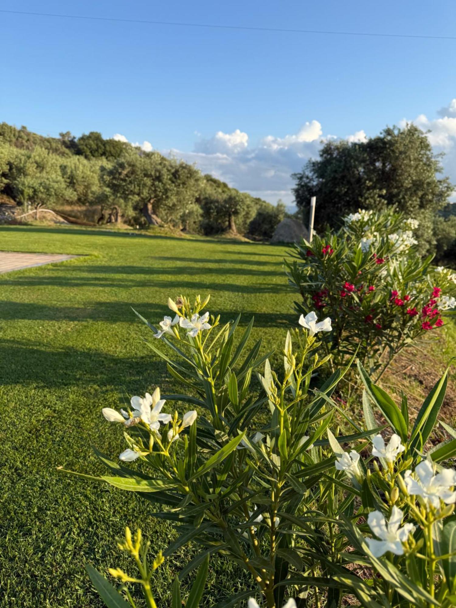 Agrolea Hotell Terme Vigliatore Eksteriør bilde