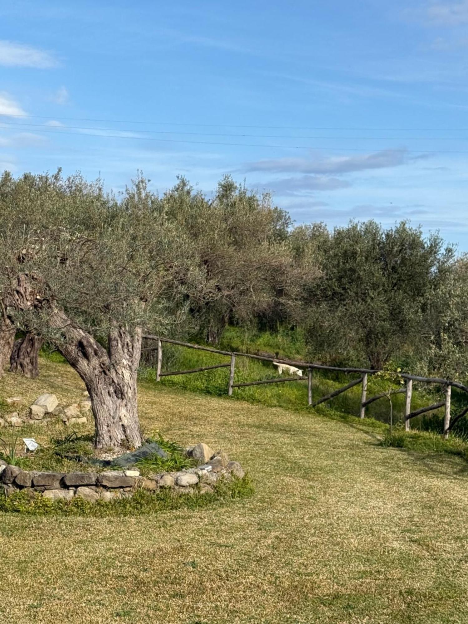 Agrolea Hotell Terme Vigliatore Eksteriør bilde