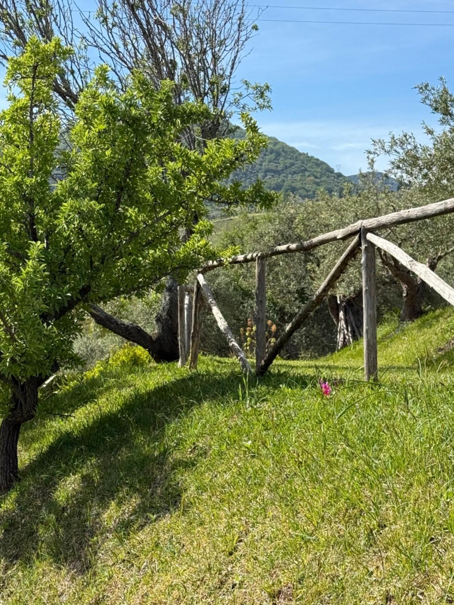 Agrolea Hotell Terme Vigliatore Eksteriør bilde